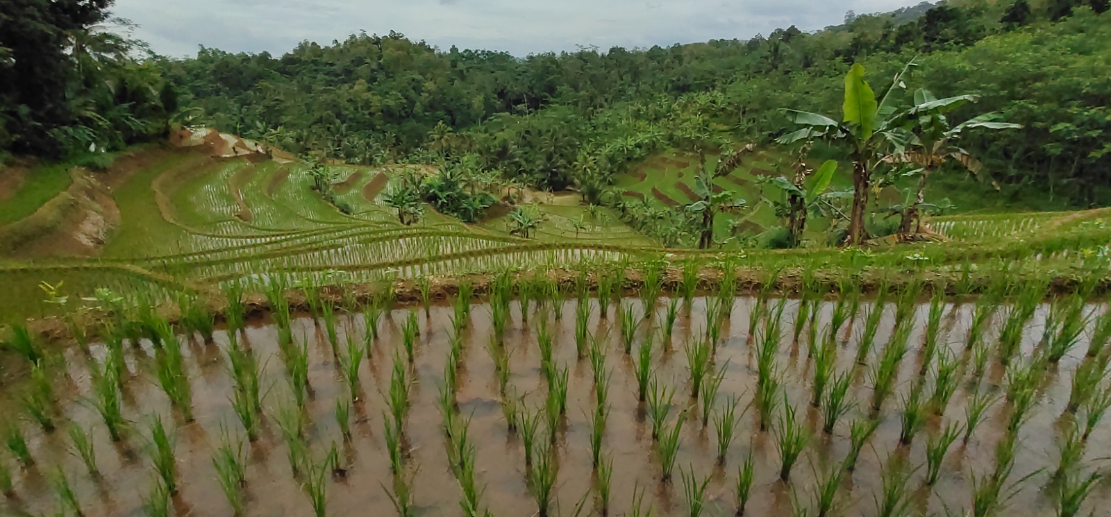 Selamat Datang di Desa Wisata Selasari
